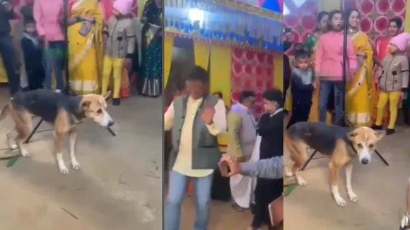 viral trending video