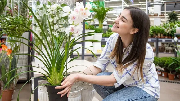 how to grow hair faster from balcony plants know here these home remedies