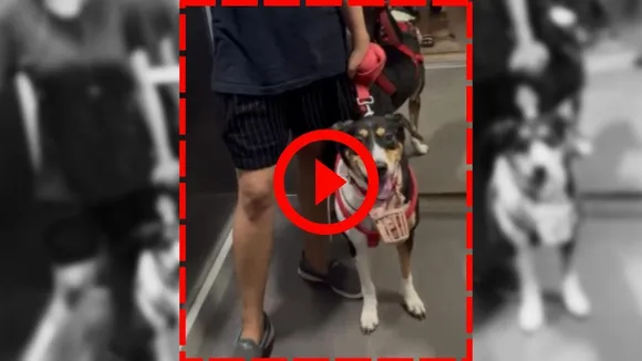 viral video