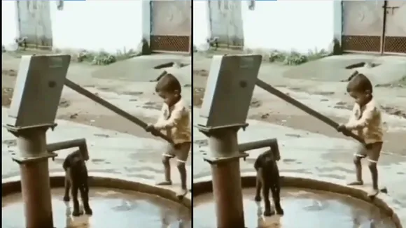 viral trending video