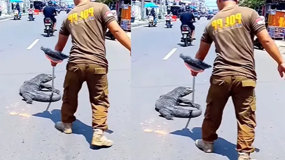 viral trending video