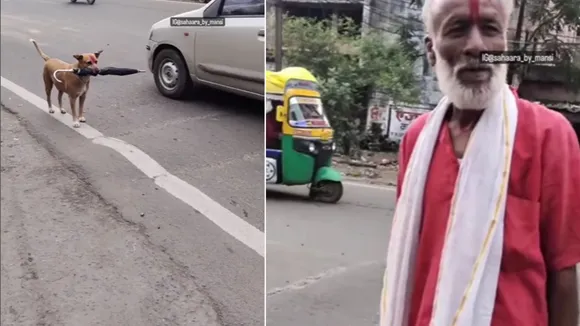 viral trending news