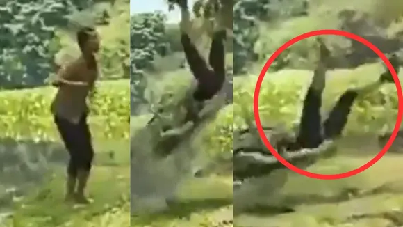viral trending video
