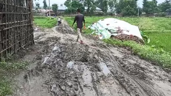 kachhi