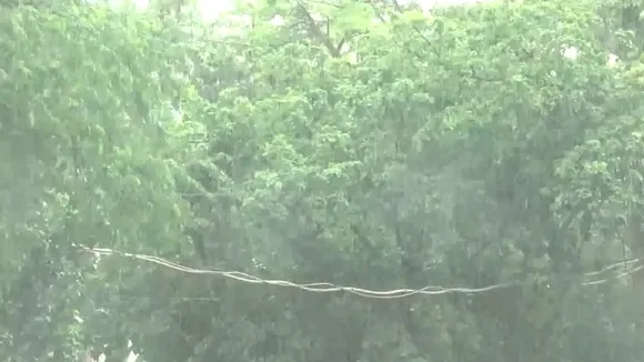 rain
