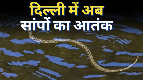 Delhi Floods