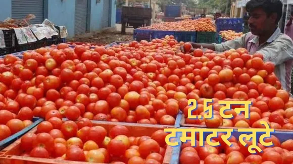 Tomato Highway robber