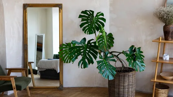 vastu shastra tips for mirror