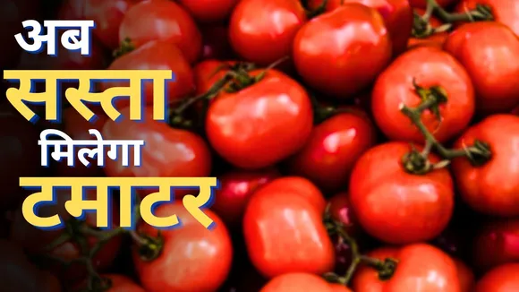 tomato