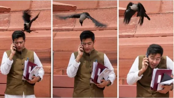raghav chaddha