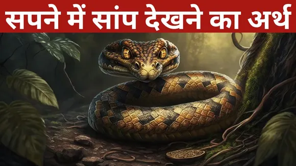 Snake Dream Meaning
