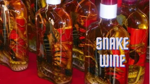 Snake Wine