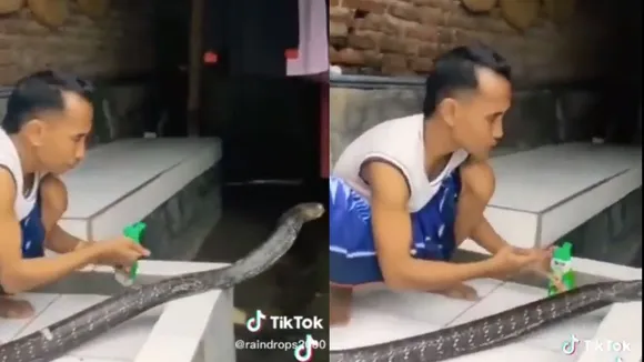 viral trending video