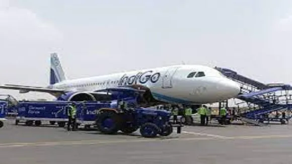 indigo
