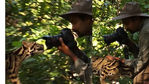 viral wildlife trending video