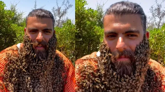bee face trending video
