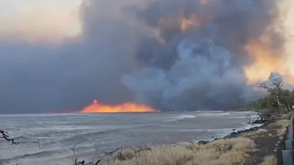 Hawaii Fire