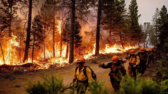 Hawaii wildfire