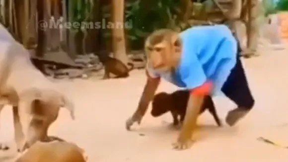 viral trending video