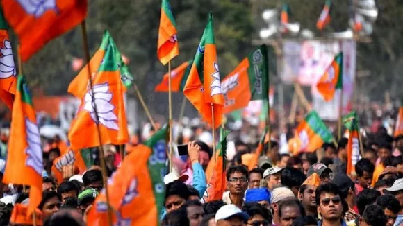 bjp flag