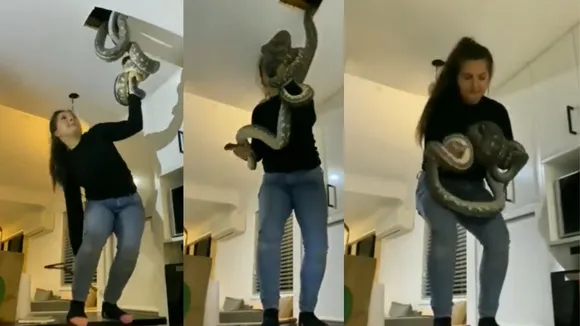 viral trending video