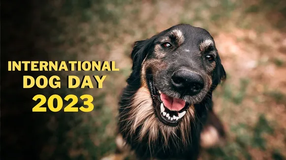 dog day 2023