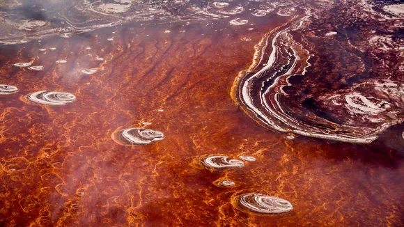 tanzania natron lake