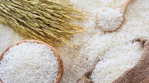 rice