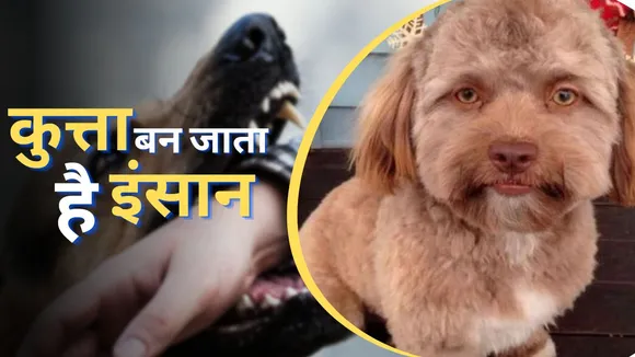 dog-bite