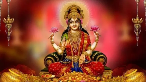 lakshmi maa plant