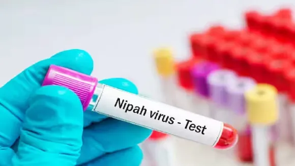 nipah
