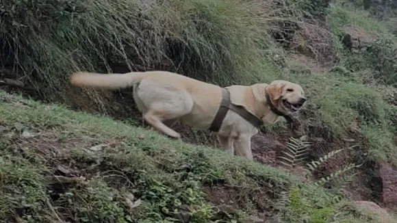 rajouri