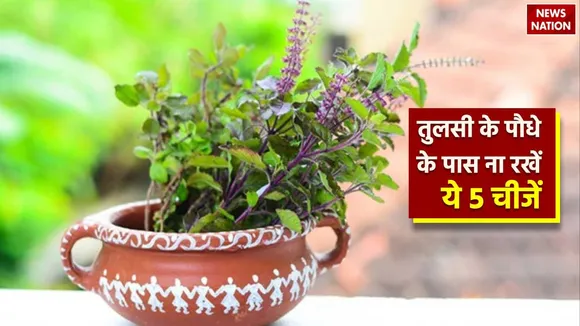 WhatsApp Image 2023 09 12 at 4 07 00 PM