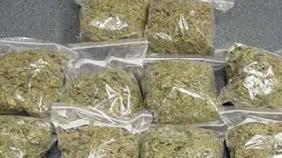 ganja