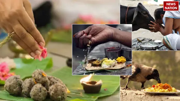 Know the importance of feeding crow  cow  ant and dog during Pitru Paksha