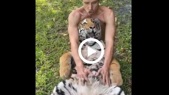 viral wildlife trending video
