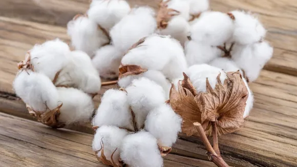 world-cotton-day
