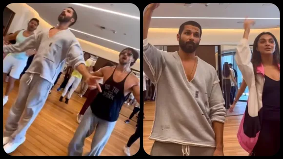 shahid kapoor  2