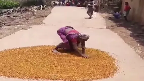 saraikela news