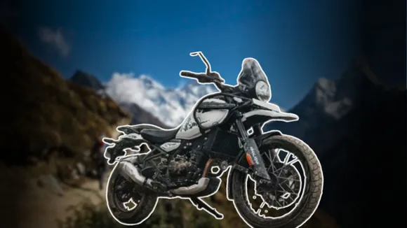 Himalayan-452