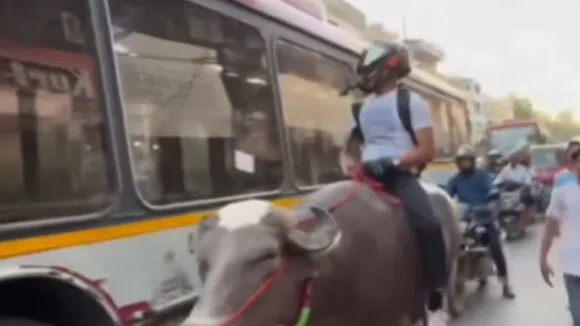 viral trending video
