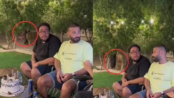 viral wildlife trending video