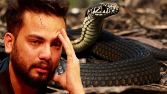 snake-farming