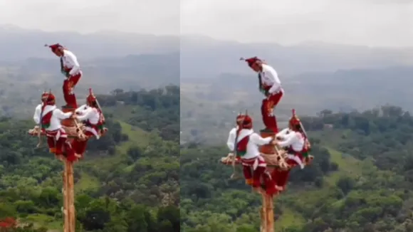 viral stunt trending video