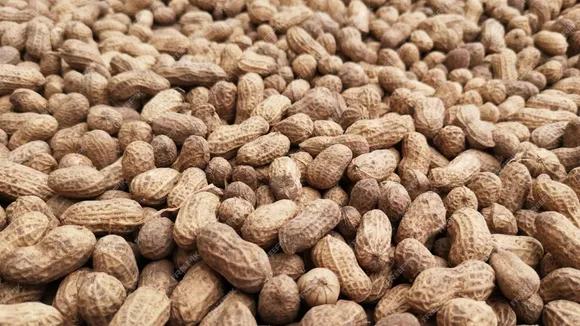Benefits_of_Peanuts