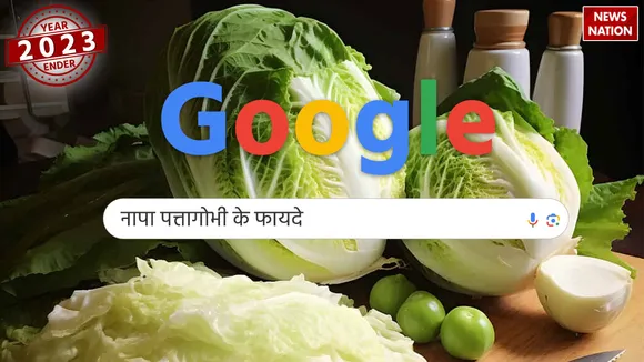 year ender 2023 know top searches on google napa cabbage  2