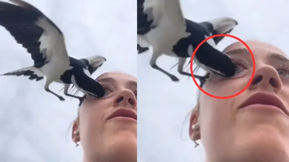 viral video
