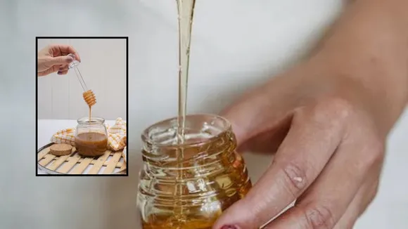 Honey is beneficial for the body