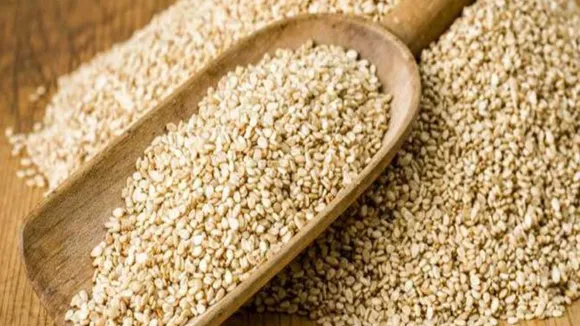 news of white sesame