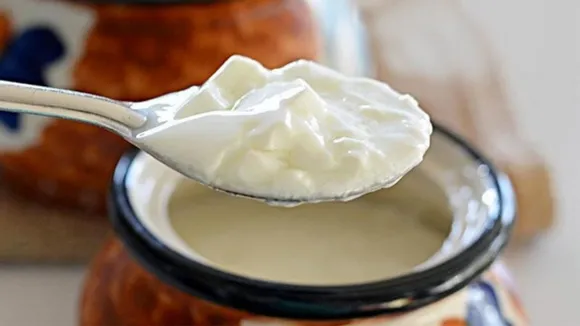 Curd_side_effect